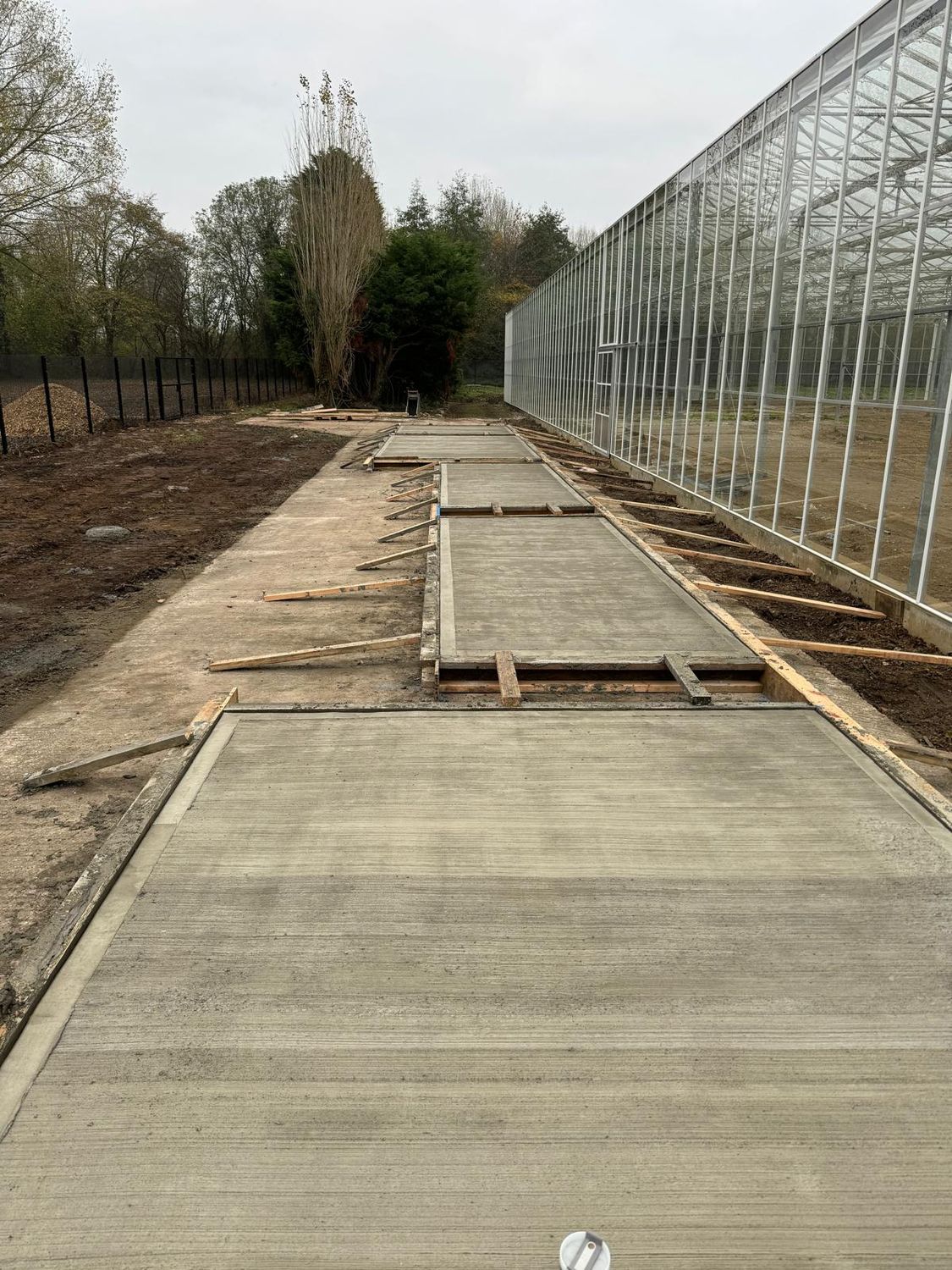 Concrete path cast in bays alongside a glasshouse