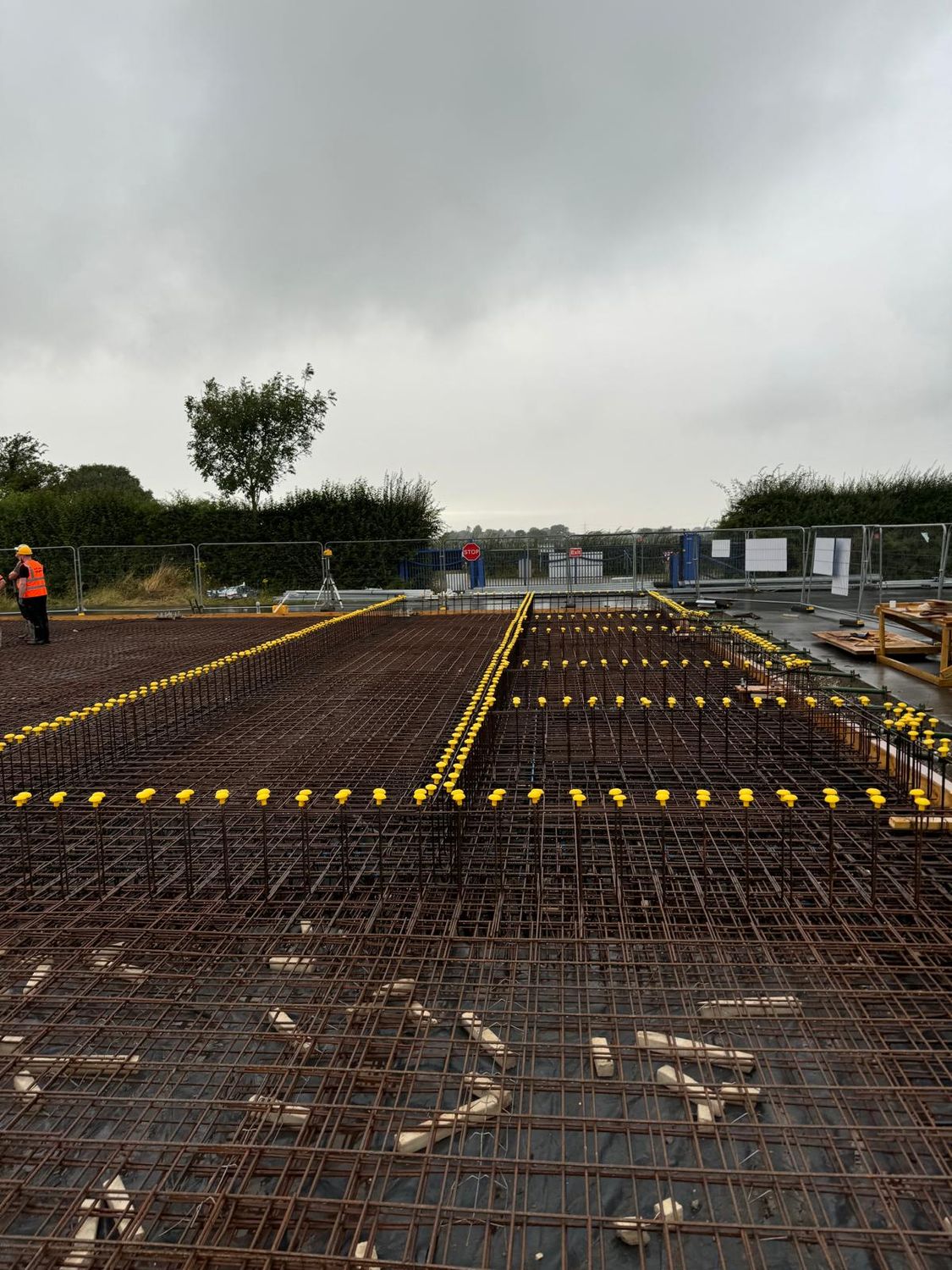 Reinforcement with marked starter bars across the raft